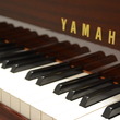 1992 Polished mahogany Yamaha baby grand - Grand Pianos